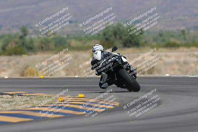 media/Oct-01-2023-SoCal Trackdays (Sun) [[4c570cc352]]/Turn 14 Backside (1120am)/